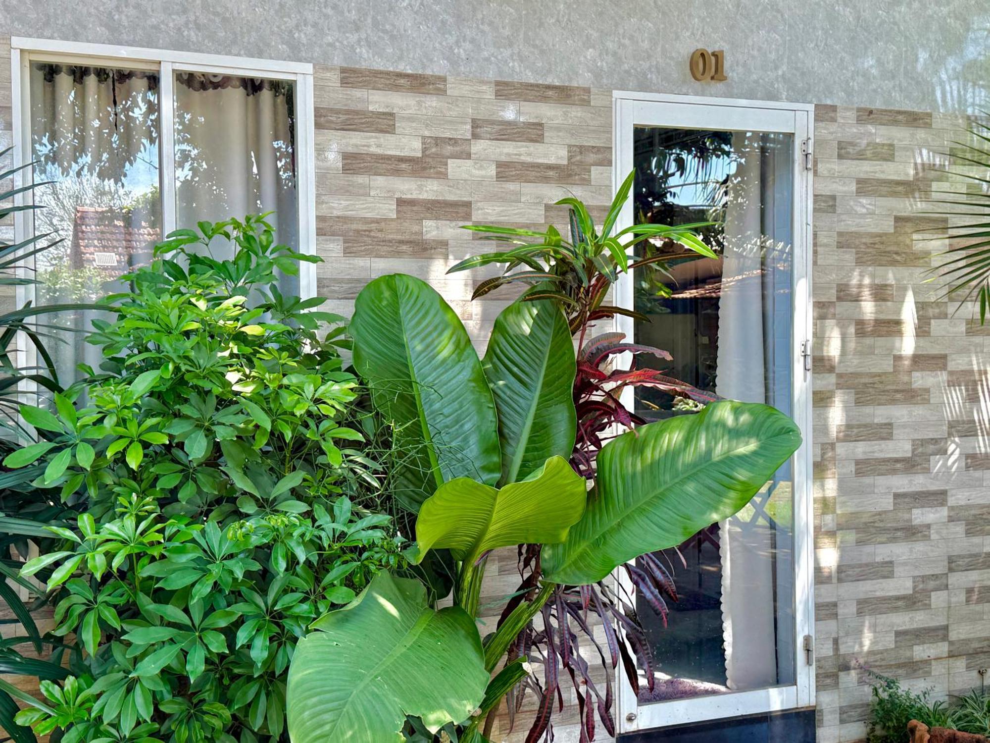 Ho Coc Homestay 외부 사진
