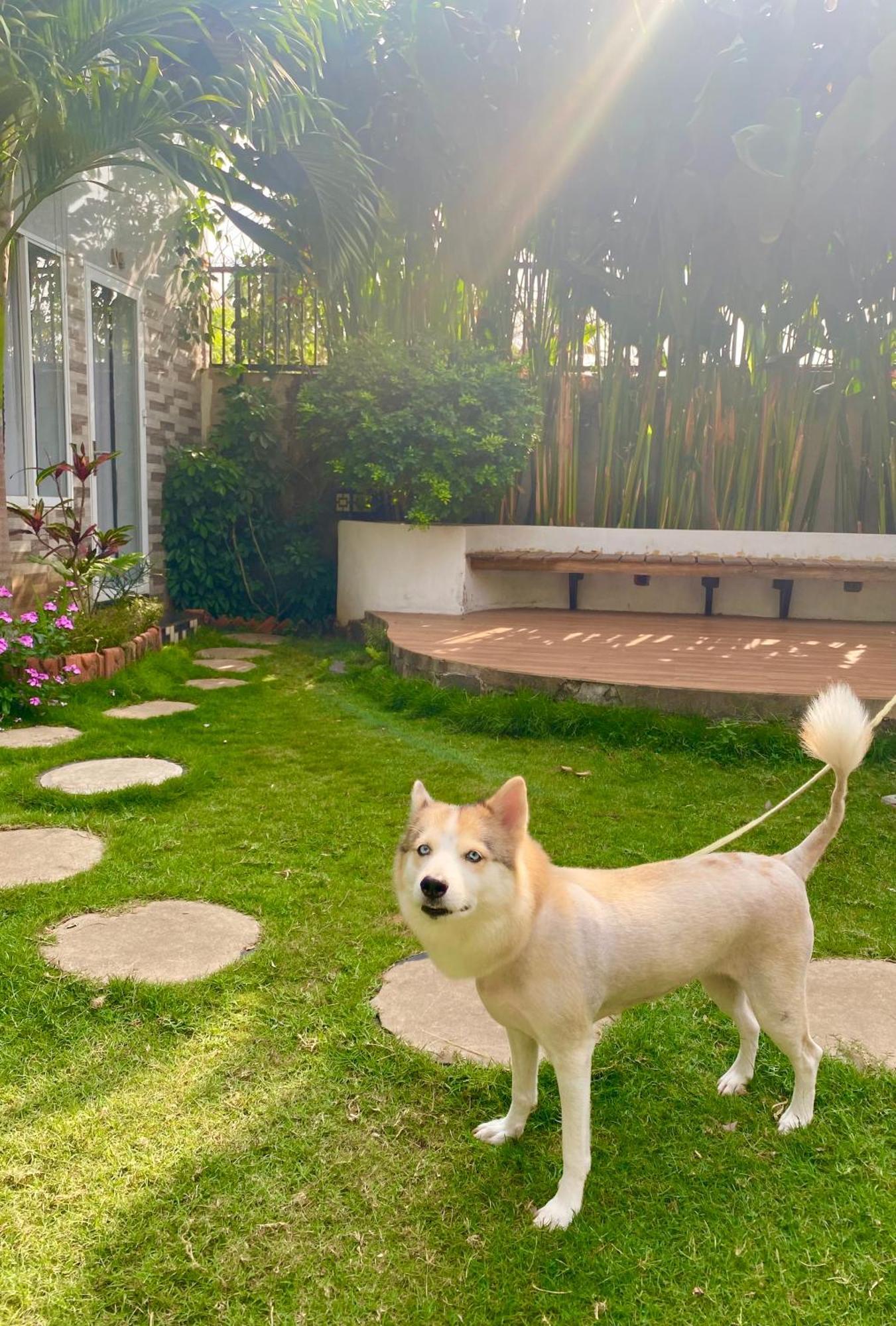Ho Coc Homestay 외부 사진