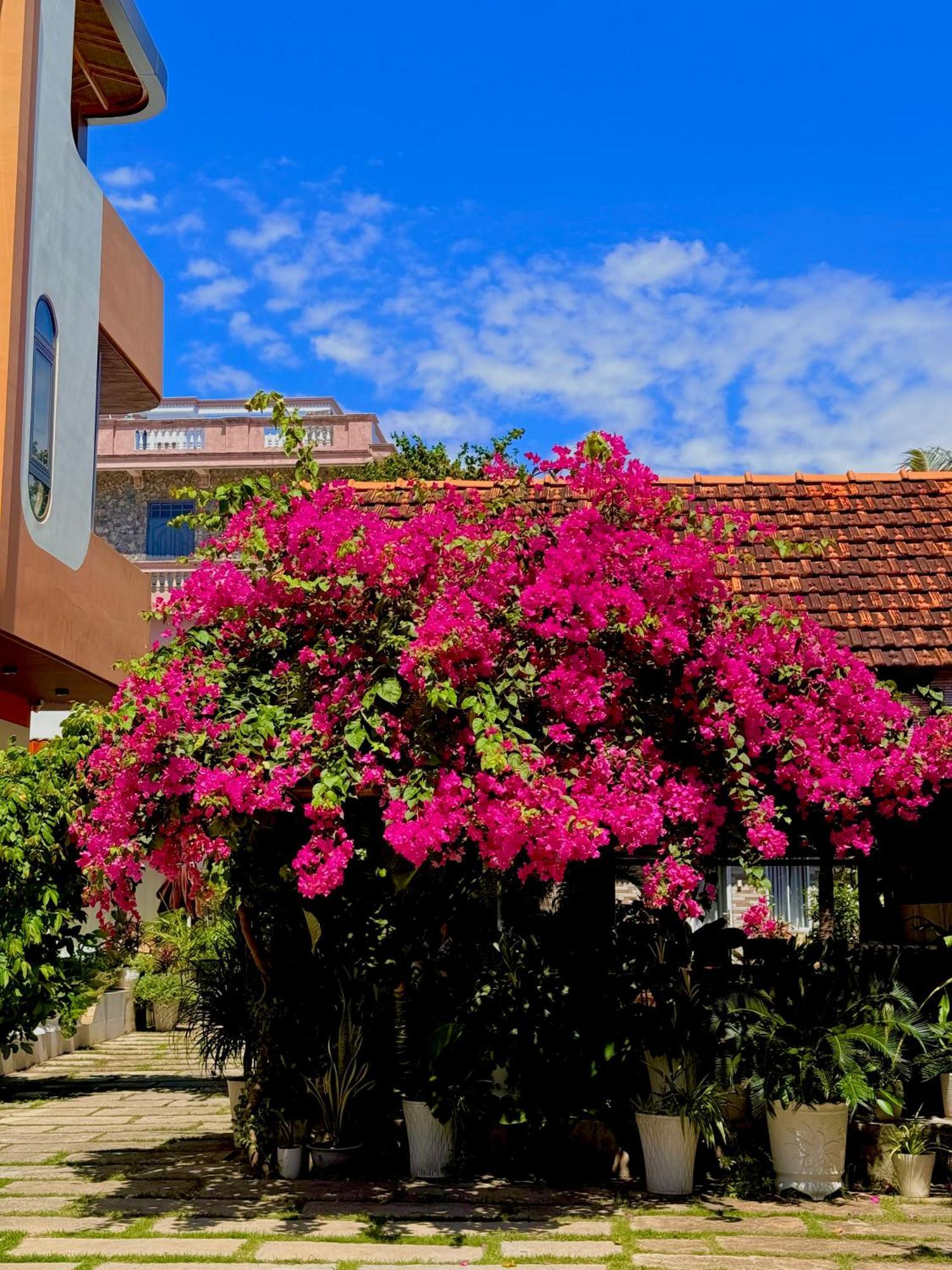 Ho Coc Homestay 외부 사진