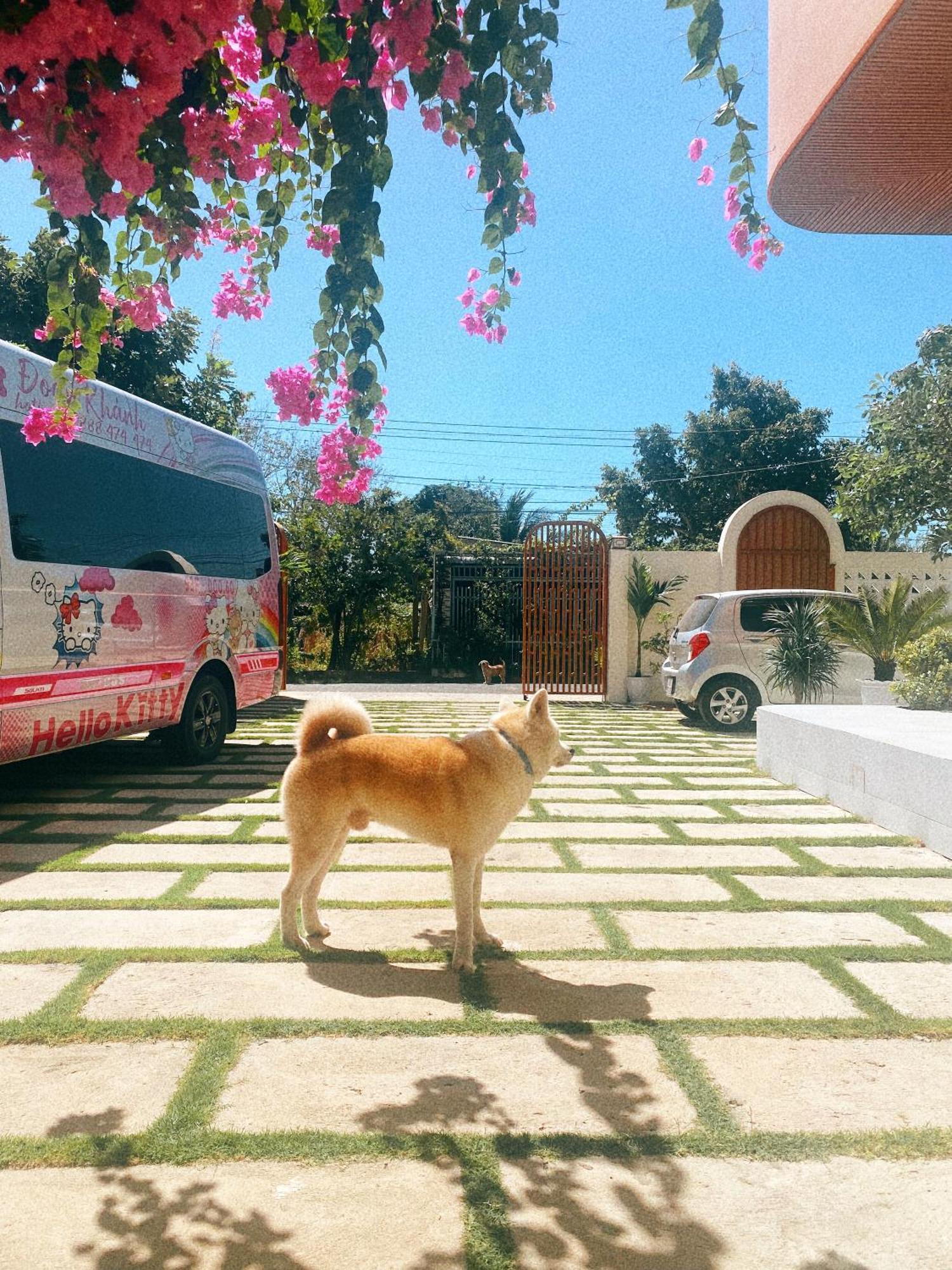 Ho Coc Homestay 외부 사진
