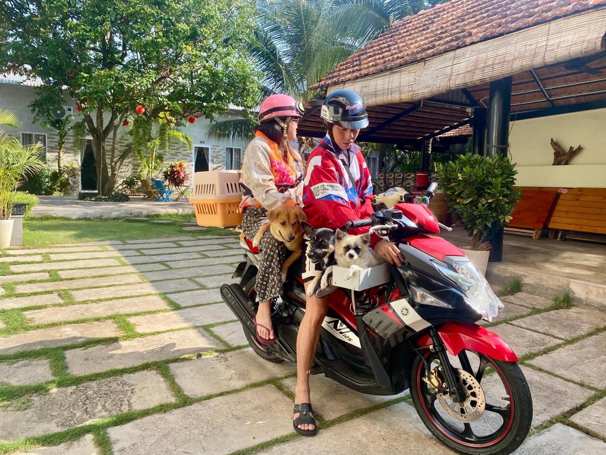 Ho Coc Homestay 외부 사진